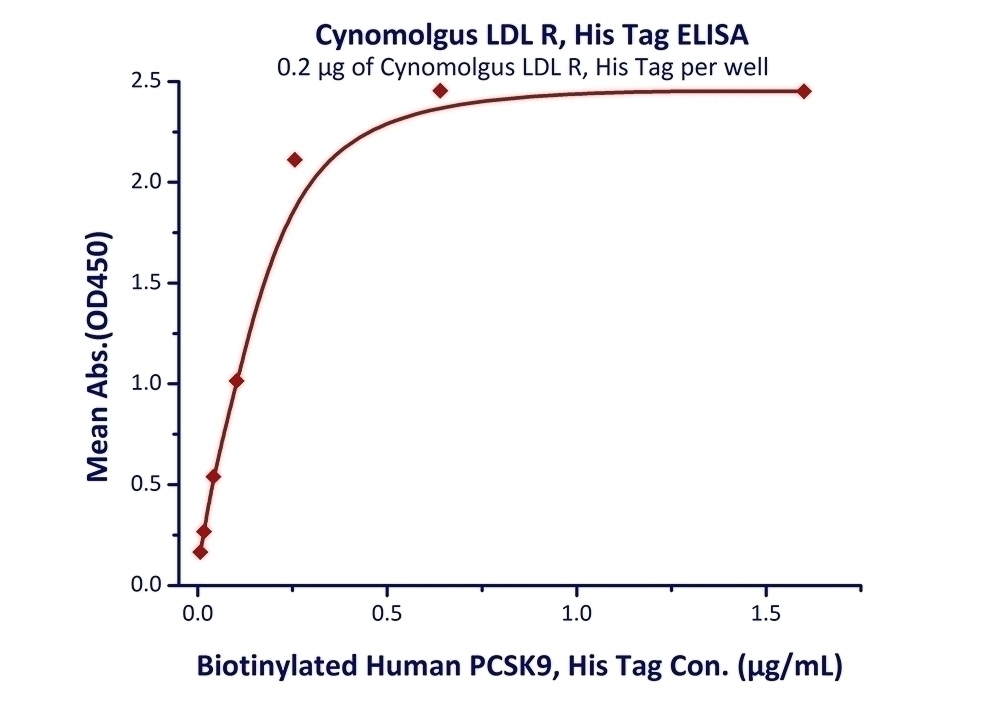 LDL R Recombinant Protein