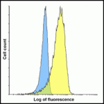 Flow cytometry analysis of LIGHT overexpressing HEK293 cells using LIGHT antibody and control mouse IgG antibody at 10 μg/ml. Blue: Untransfected HEK293 cells. Yellow: LIGHT overexpressing HEK293 cells.