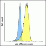 Flow cytometry analysis of LIGHT overexpressing HEK293 cells using LIGHT antibody and control mouse IgG antibody at 10 μg/ml. Blue: Untransfected HEK293 cells. Yellow: LIGHT overexpressing HEK293 cells.
