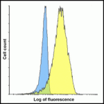 Flow cytometry analysis of LIGHT overexpressing HEK293 cells using LIGHT antibody and control mouse IgG antibody at 10 μg/ml. Blue: Untransfected HEK293 cells. Yellow: LIGHT overexpressing HEK293 cells.