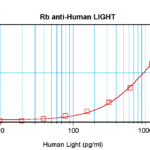 To detect hLIGHT by sandwich ELISA (using 100 ul/well antibody solution) a concentration of 0.5 - 2.0 ug/ml of this antibody is required. This antigen affinity purified antibody, in conjunction with ProSci’s Biotinylated Anti-Human LIGHT (XP-5215Bt) as a detection antibody, allows the detection of at least 0.2 - 0.4 ng/well of recombinant hLIGHT.