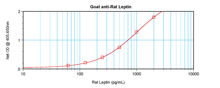 Leptin Antibody