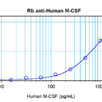 To detect hM-CSF by sandwich ELISA (using 100 ul/well antibody solution) a concentration of 0.5 - 2.0 ug/ml of this antibody is required. This antigen affinity purified antibody, in conjunction with ProSci’s Biotinylated Anti-Human M-CSF (XP-5227Bt) as a detection antibody, allows the detection of at least 0.2 - 0.4 ng/well of recombinant hM-CSF.
