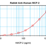 To detect hMCP-2 by sandwich ELISA (using 100 ul/well antibody solution) a concentration of 0.5 - 2.0 ug/ml of this antibody is required. This antigen affinity purified antibody, in conjunction with ProSci’s Biotinylated Anti-Human MCP-2 (XP-5220Bt) as a detection antibody, allows the detection of at least 0.2 - 0.4 ng/well of recombinant hMCP-2.