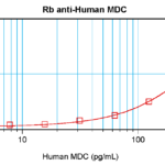 To detect hMDC by sandwich ELISA (using 100 ul/well antibody solution) a concentration of 0.5 - 2.0 ug/ml of this antibody is required. This antigen affinity purified antibody, in conjunction with ProSci’s Biotinylated Anti-Human MDC (XP-5229Bt) as a detection antibody, allows the detection of at least 0.2 - 0.4 ng/well of recombinant hMDC.
