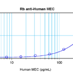 To detect hMEC by sandwich ELISA (using 100ul/well antibody solution) a concentration of 0.5 - 2.0 ug/ml of this antibody is required. This antigen affinity purified antibody, in conjunction with ProSci’s Biotinylated Anti-Human MEC (38-279) as a detection antibody, allows the detection of at least 0.2 - 0.4 ng/well of recombinant hMEC.