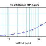 To detect Human MIP-1-alpha by sandwich ELISA (using 100 ul/well antibody solution) a concentration of 0.5 - 2.0 ug/ml of this antibody is required. This antigen affinity purified antibody, in conjunction with ProSci’s Biotinylated Anti-Human MIP-1-alpha (38-222) as a detection antibody, allows the detection of at least 0.2 - 0.4 ng/well of recombinant Human MIP-1-alpha.