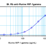 To detect Murine MIP-1-gamma by sandwich ELISA (using 100 ul/well antibody solution) a concentration of 0.25 – 1.0 ug/ml of this antibody is required. This biotinylated polyclonal antibody, in conjunction with ProSci’s Polyclonal Anti-Murine MIP-1-gamma (XP-5236) as a capture antibody, allows the detection of at least 0.2 – 0.4 ng/well of recombinant Murine MIP-1-gamma.