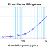 To detect Murine MIP-1-gamma by sandwich ELISA (using 100 ul/well antibody solution) a concentration of 0.5 - 2.0 ug/ml of this antibody is required. This antigen affinity purified antibody, in conjunction with ProSci’s Biotinylated Anti-Murine MIP-1-gamma (XP-5236Bt) as a detection antibody, allows the detection of at least 0.2 - 0.4 ng/well of recombinant Murine MIP-1-gamma.