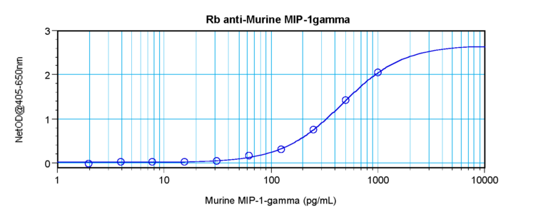 MIP-1gamma Antibody
