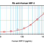 To detect hMIP-3 by sandwich ELISA (using 100 ul/well antibody solution) a concentration of 0.5 - 2.0 ug/ml of this antibody is required. This antigen affinity purified antibody, in conjunction with ProSci’s Biotinylated Anti-Human MIP-3 (XP-5238Bt) as a detection antibody, allows the detection of at least 0.2 - 0.4 ng/well of recombinant hMIP-3.