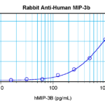 To detect Human MIP-3-beta by sandwich ELISA (using 100 ul/well antibody solution) a concentration of 0.5 - 2.0 ug/ml of this antibody is required. This antigen affinity purified antibody, in conjunction with ProSci’s Biotinylated Anti-Human MIP-3-beta (XP-5241Bt) as a detection antibody, allows the detection of at least 0.2 - 0.4 ng/well of recombinant Human MIP-3-beta.