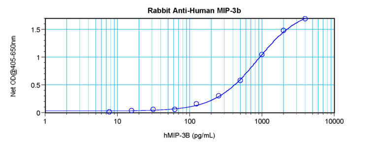 MIP-3B Antibody