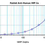To detect Human MIP-3-alpha by sandwich ELISA (using 100 ul/well antibody solution) a concentration of 0.5 - 2.0 ug/ml of this antibody is required. This antigen affinity purified antibody, in conjunction with ProSci’s Biotinylated Anti-Human MIP-3-alpha (XP-5240Bt) as a detection antibody, allows the detection of at least 0.2 - 0.4 ng/well of recombinant Human MIP-3-alpha.