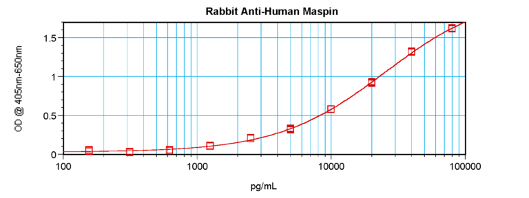 Maspin Antibody