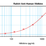 To detect hMidkine by sandwich ELISA (using 100 ul/well antibody solution) a concentration of 0.5 - 2.0 ug/ml of this antibody is required. This antigen affinity purified antibody, in conjunction with ProSci’s Biotinylated Anti-Human Midkine (XP-5230Bt) as a detection antibody, allows the detection of at least 0.2 - 0.4 ng/well of recombinant hMidkine.