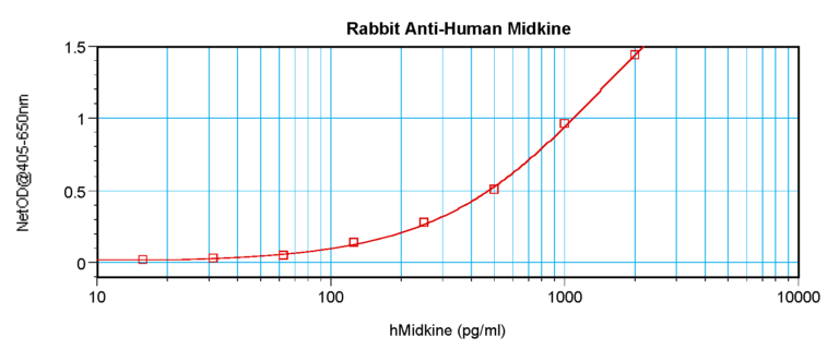 Midkine Antibody