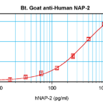 To detect hNAP-2 by sandwich ELISA (using 100 ul/well antibody solution) a concentration of 0.25 – 1.0 ug/ml of this antibody is required. This biotinylated polyclonal antibody, in conjunction with ProSci’s Polyclonal Anti-Human NAP-2 (XP-5245) as a capture antibody, allows the detection of at least 0.2 – 0.4 ng/well of recombinant hNAP-2.