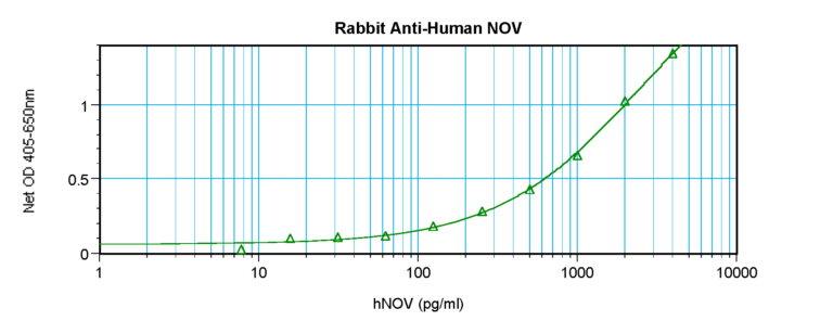 NOV Antibody