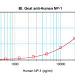 To detect hNP-1 by sandwich ELISA (using 100 ul/well antibody solution) a concentration of 0.25 – 1.0 ug/ml of this antibody is required. This biotinylated polyclonal antibody, in conjunction with ProSci’s Polyclonal Anti-Human NP-1 (XP-5247) as a capture antibody, allows the detection of at least 0.2 – 0.4 ng/well of recombinant hNP-1.