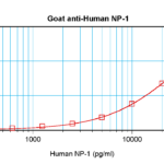 To detect hNP-1 by sandwich ELISA (using 100 ul/well antibody solution) a concentration of 0.5 - 2.0 ug/ml of this antibody is required. This antigen affinity purified antibody, in conjunction with ProSci’s Biotinylated Anti-Human NP-1 (XP-5247Bt) as a detection antibody, allows the detection of at least 0.2 - 0.4 ng/well of recombinant hNP-1.