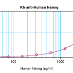To detect hNanog by sandwich ELISA (using 100 ul/well antibody solution) a concentration of 0.5 - 2.0 ug/ml of this antibody is required. This antigen affinity purified antibody, in conjunction with ProSci’s Biotinylated Anti-Human Nanog (38-104) as a detection antibody, allows the detection of at least 0.2 - 0.4 ng/well of recombinant hNanog.