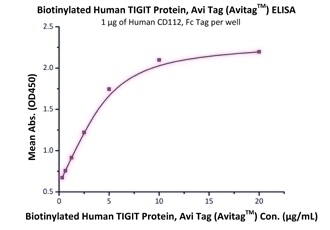 Nectin-2 Recombinant Protein