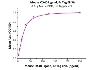 OX40 Recombinant Protein