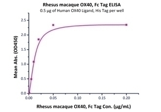 OX40 Recombinant Protein