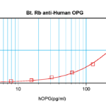 To detect hOPG by sandwich ELISA (using 100 ul/well antibody solution) a concentration of 0.25 – 1.0 ug/ml of this antibody is required. This biotinylated polyclonal antibody, in conjunction with ProSci’s Polyclonal Anti-Human OPG (XP-5253) as a capture antibody, allows the detection of at least 0.2 – 0.4 ng/well of recombinant hOPG.