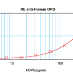 To detect hOPG by sandwich ELISA (using 100 ul/well antibody solution) a concentration of 0.5 - 2.0 ug/ml of this antibody is required. This antigen affinity purified antibody, in conjunction with ProSci’s Biotinylated Anti-Human OPG (XP-5253Bt) as a detection antibody, allows the detection of at least 0.2 - 0.4 ng/well of recombinant hOPG.