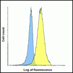 Flow cytometry analysis of PD-L1 overexpressing HEK293 cells using PD-L1 antibody and control mouse IgG antibody at 0.1 μg/ml. Blue: Untransfected HEK293 cells. Yellow: PD-L1 overexpressing HEK293 cells.