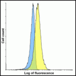 Flow cytometry analysis of PD-L1 overexpressing HEK293 cells using PD-L1 antibody and control mouse IgG antibody at 10 μg/ml. Blue: Untransfected HEK293 cells. Yellow: PD-L1 overexpressing HEK293 cells.