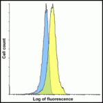 Flow cytometry analysis of PD-L1 overexpressing HEK293 cells using PD-L1 antibody and control mouse IgG antibody at 10 μg/ml. Blue: Untransfected HEK293 cells. Yellow: PD-L1 overexpressing HEK293 cells.