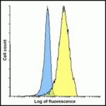 Flow cytometry analysis of PD-L2 overexpressing HEK293 cells using PD-L2 antibody and control mouse IgG antibody at 10 μg/ml. Blue: Untransfected HEK293 cells. Yellow: PD-L2 overexpressing HEK293 cells.