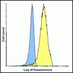 Flow cytometry analysis of PD-L2 overexpressing HEK293 cells using PD-L2 antibody and control mouse IgG antibody at 10 μg/ml. Blue: Untransfected HEK293 cells. Yellow: PD-L2 overexpressing HEK293 cells.
