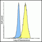 Flow cytometry analysis of PD-L2 overexpressing HEK293 cells using PD-L2 antibody and control mouse IgG antibody at 10 μg/ml. Blue: Untransfected HEK293 cells. Yellow: PD-L2 overexpressing HEK293 cells.