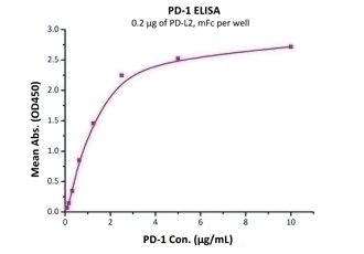 PD-L2 Recombinant Protein