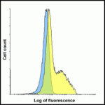 Flow cytometry analysis of PD-1 in overexpressing HEK293 cells using PD-1 antibody at 1 μg/ml. Blue: untransfected cells, Yellow: PD-1 transfected cells.