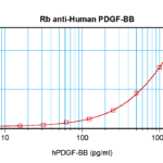 To detect hPDGF-BB by sandwich ELISA (using 100 ul/well antibody solution) a concentration of 0.5 - 2.0 ug/ml of this antibody is required. This antigen affinity purified antibody, in conjunction with ProSci’s Biotinylated Anti-Human PDGF-BB (XP-5255Bt) as a detection antibody, allows the detection of at least 0.2 - 0.4 ng/well of recombinant hPDGF-BB.
