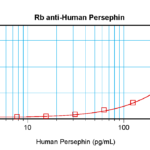 To detect hPersephin by sandwich ELISA (using 100 ul/well antibody solution) a concentration of 0.5 - 2.0 ug/ml of this antibody is required. This antigen affinity purified antibody, in conjunction with ProSci’s Biotinylated Anti-Human Persephin (38-120) as a detection antibody, allows the detection of at least 0.2 - 0.4 ng/well of recombinant hPersephin.