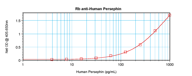 Persephin Antibody