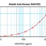 To detect hRANTES by sandwich ELISA (using 100 ul/well antibody solution) a concentration of 0.5 - 2.0 ug/ml of this antibody is required. This antigen affinity purified antibody, in conjunction with ProSci’s Biotinylated Anti-Human RANTES (XP-5257Bt) as a detection antibody, allows the detection of at least 0.2 - 0.4 ng/well of recombinant hRANTES.