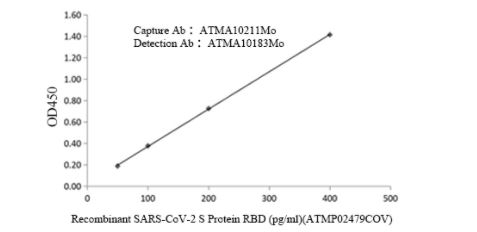 Recombinant SARS-CoV-2 (COVID-19) RBD Neutralizing antibody [AbA128]