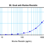 To detect mResistin by sandwich ELISA (using 100 ul/well antibody solution) a concentration of 0.25 – 1.0 ug/ml of this antibody is required. This biotinylated polyclonal antibody, in conjunction with ProSci’s Polyclonal Anti-Murine Resistin (XP-5260) as a capture antibody, allows the detection of at least 0.2 – 0.4 ng/well of recombinant mResistin.