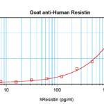 To detect hResistin by sandwich ELISA (using 100 ul/well antibody solution) a concentration of 0.5 - 2.0 ug/ml of this antibody is required. This antigen affinity purified antibody, in conjunction with ProSci’s Biotinylated Anti-Human Resistin (XP-5261Bt) as a detection antibody, allows the detection of at least 0.2 - 0.4 ng/well of recombinant hResistin.