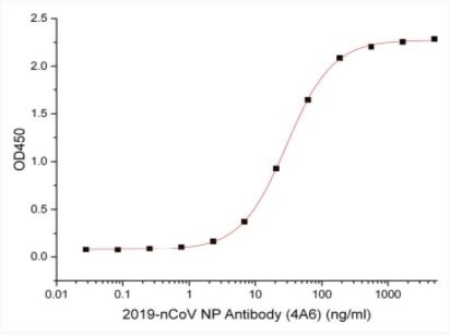 SARS-CoV-2 (COVID-19) Nucleocapsid Antibody [4A6]