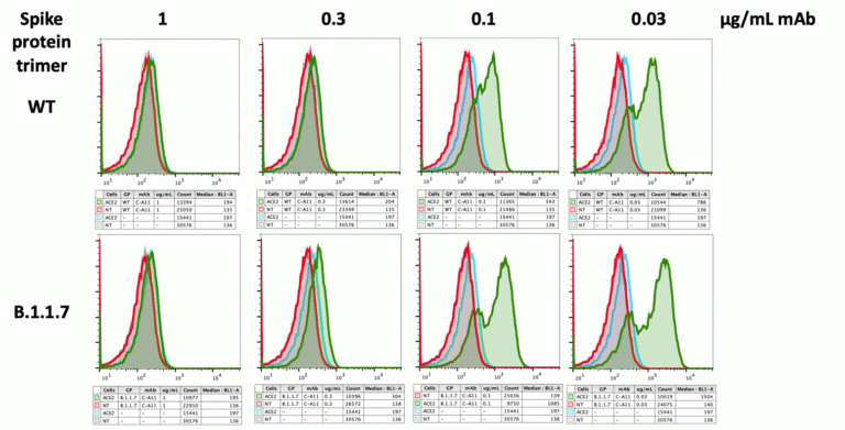 SARS-CoV-2 (COVID-19) Spike RBD Neutralizing Antibody [C-A11]