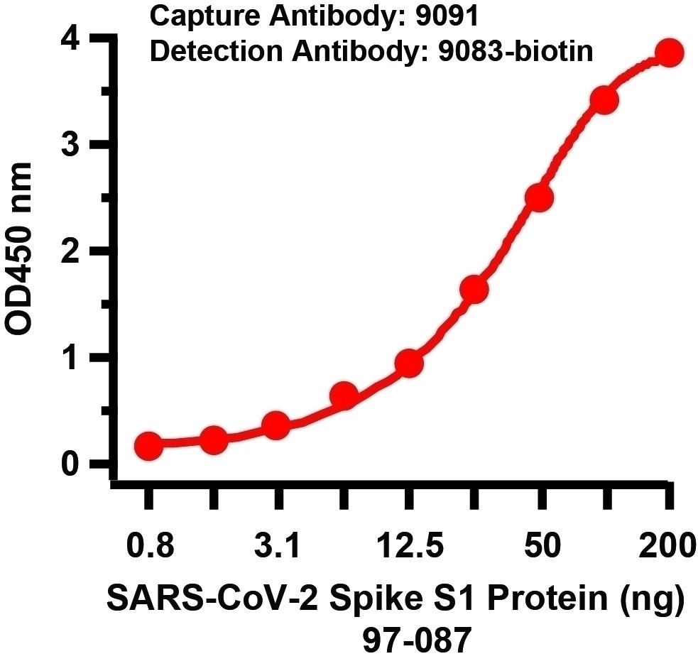 SARS-CoV-2 (COVID-19) Spike S1 Antibody (biotin)