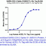 Immobilized SARS-CoV S protein RBD (N501Y), His Tag at 0.5 ug/ml (100ug/Well) on the plate. Dose response curve for Human ACE2, Fc Tag with the EC50 of 80.3 ng/ml determined by ELISA.